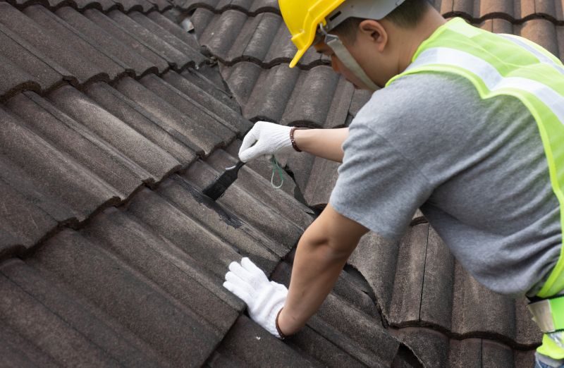 Roof Waterproofing Experts